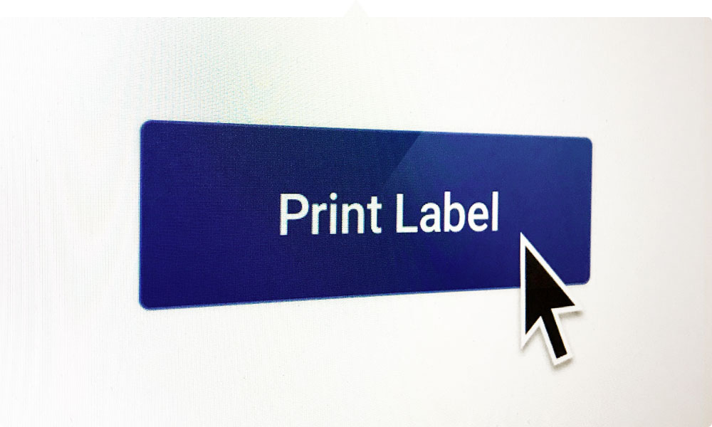 WebPrint™ makes printing easy